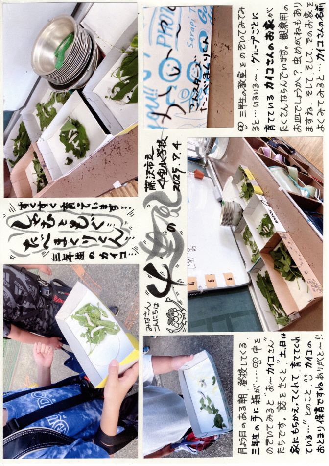 中里の風の画像1