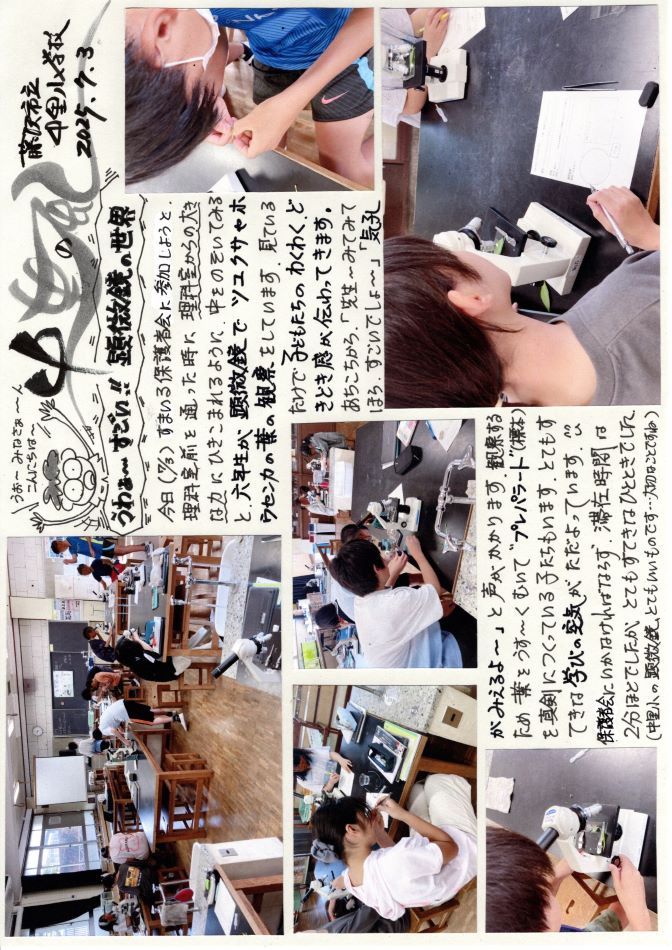 中里の風の画像