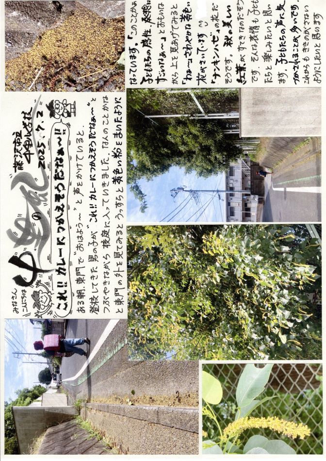 中里の風の画像