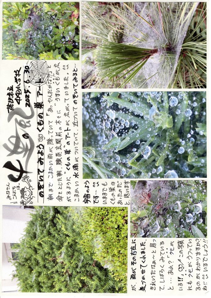 中里の風の画像1