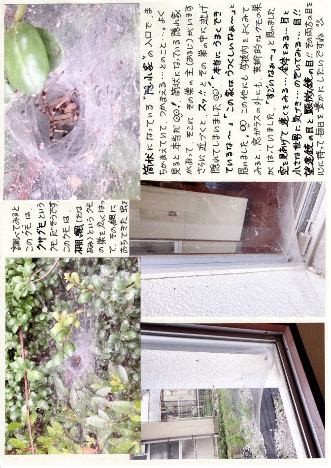 中里の風の画像2