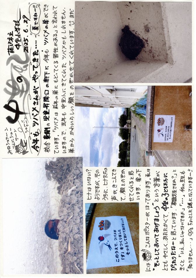 中里の風の画像