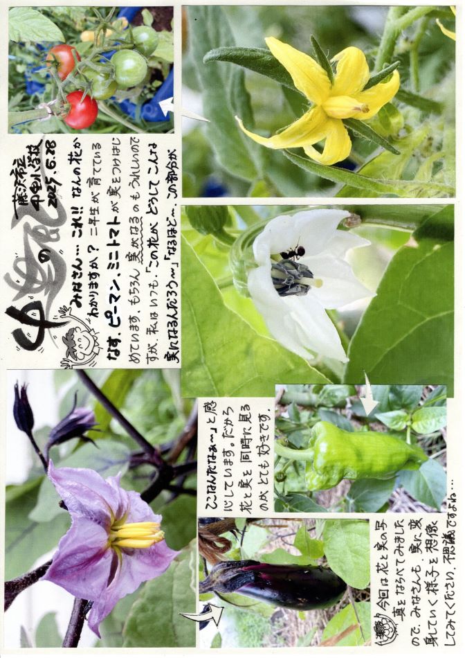 中里の風の画像