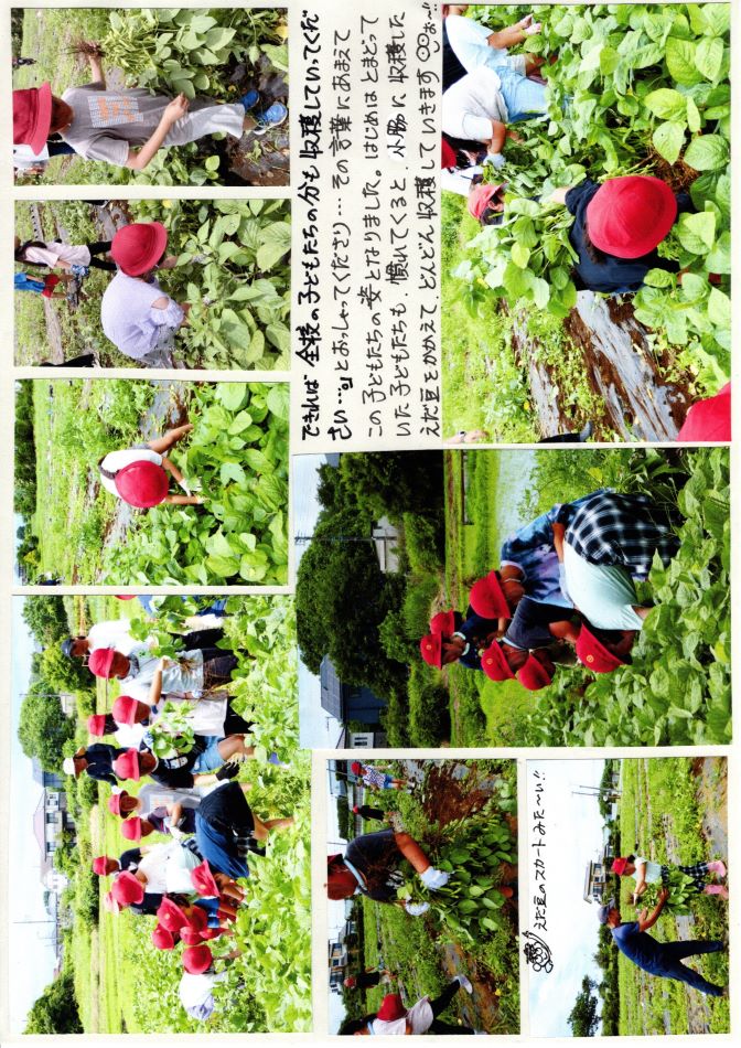 中里の風の画像2