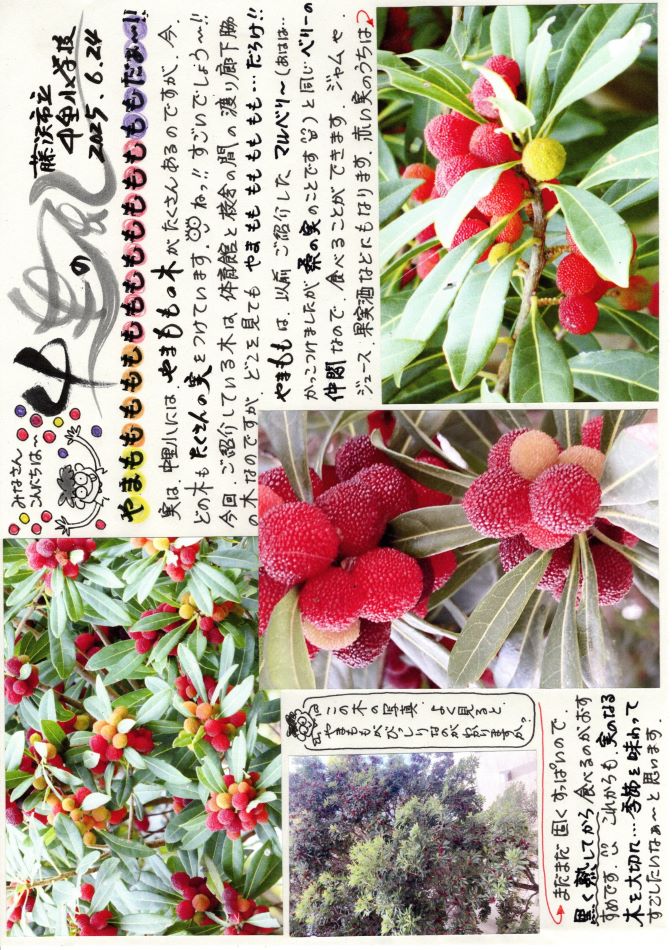 中里の風の画像