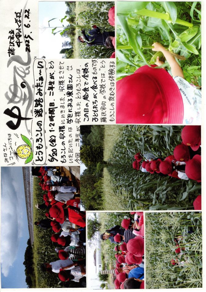 中里の風の画像