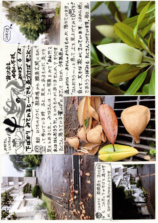 中里の風の画像1