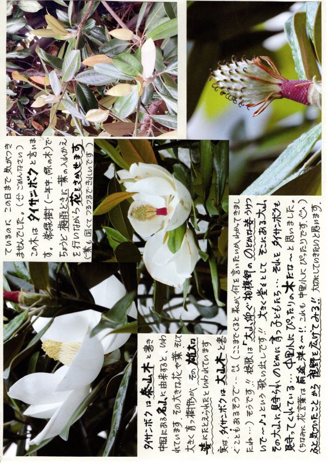中里の風の画像2