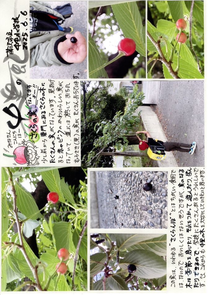 中里の風の画像