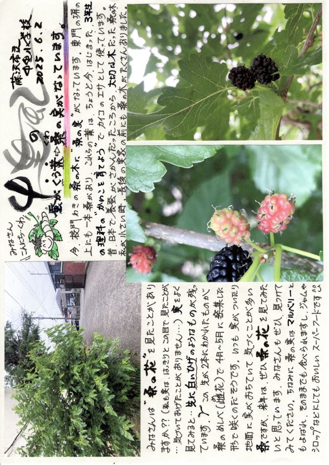 中里の風の画像