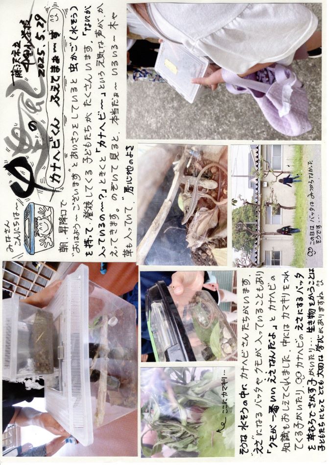 中里の風の画像