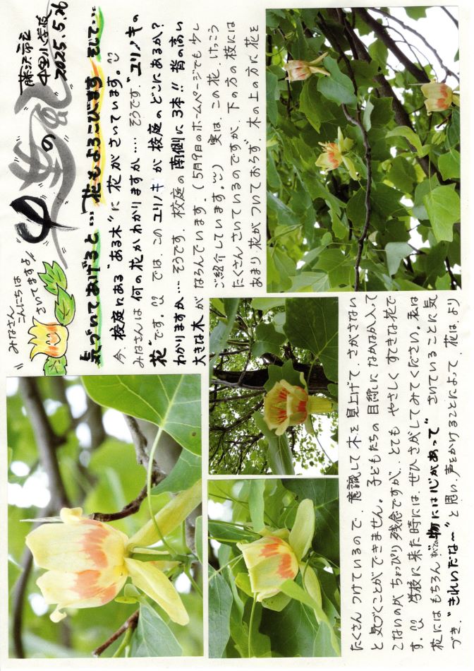 中里の風の画像1