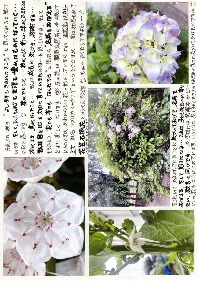 中里の風の画像2