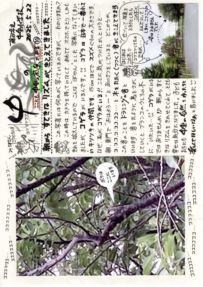 中里の風の画像