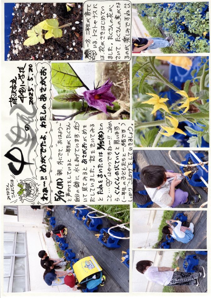 中里の風の画像