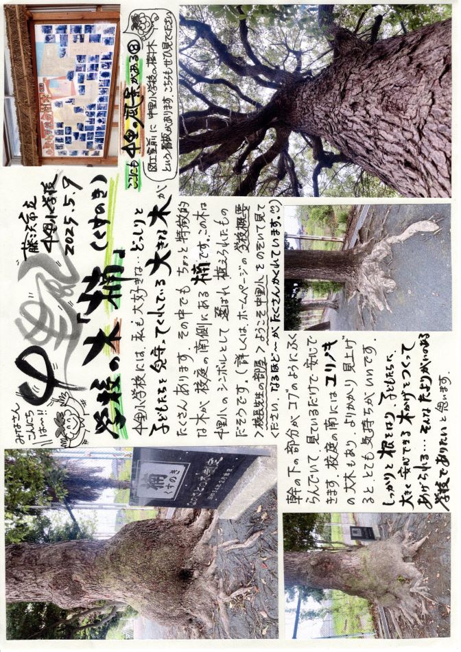 中里の風の画像