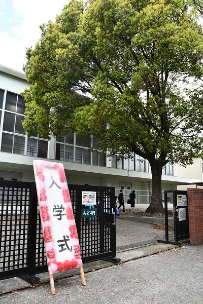 入学式1