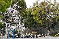 桜の木の下で連絡を聞く様子1