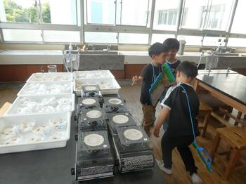 理科室での様子3