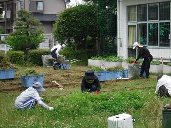 草取り活動の様子1