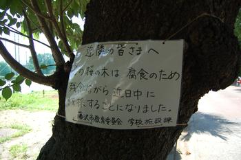 文化祭展示発表19