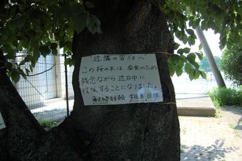 近隣の皆様への告知文1
