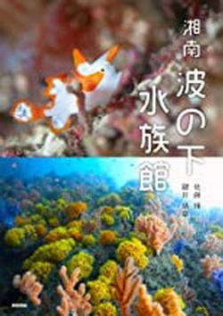 2022年1月新着図書3