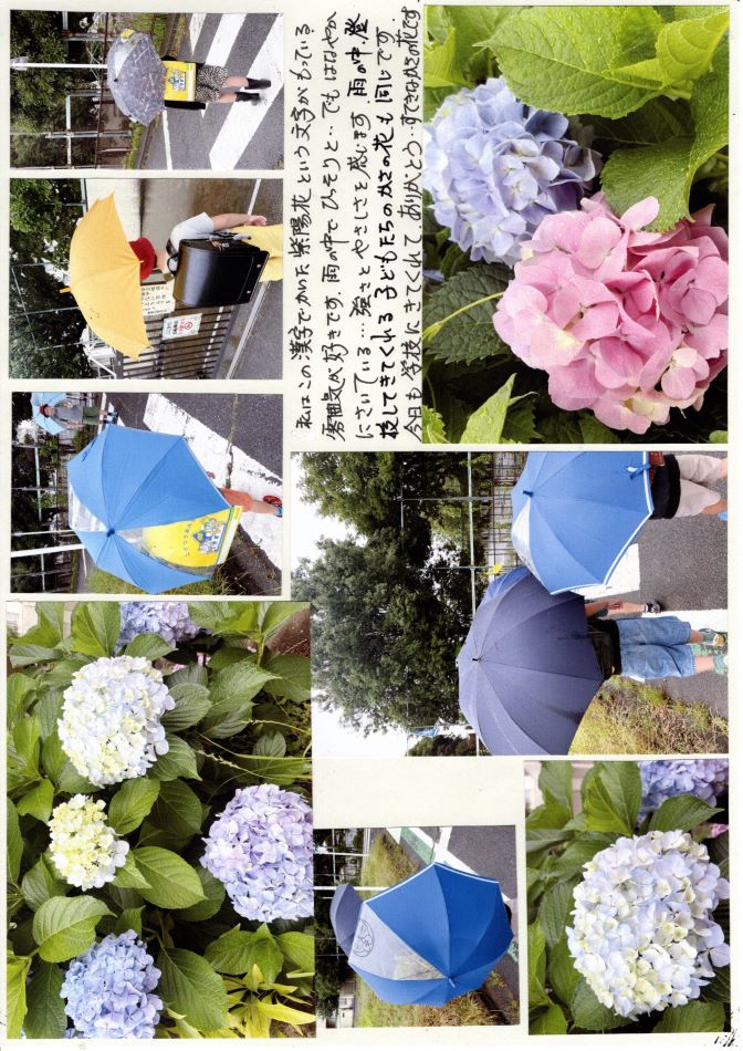 中里の風の画像2