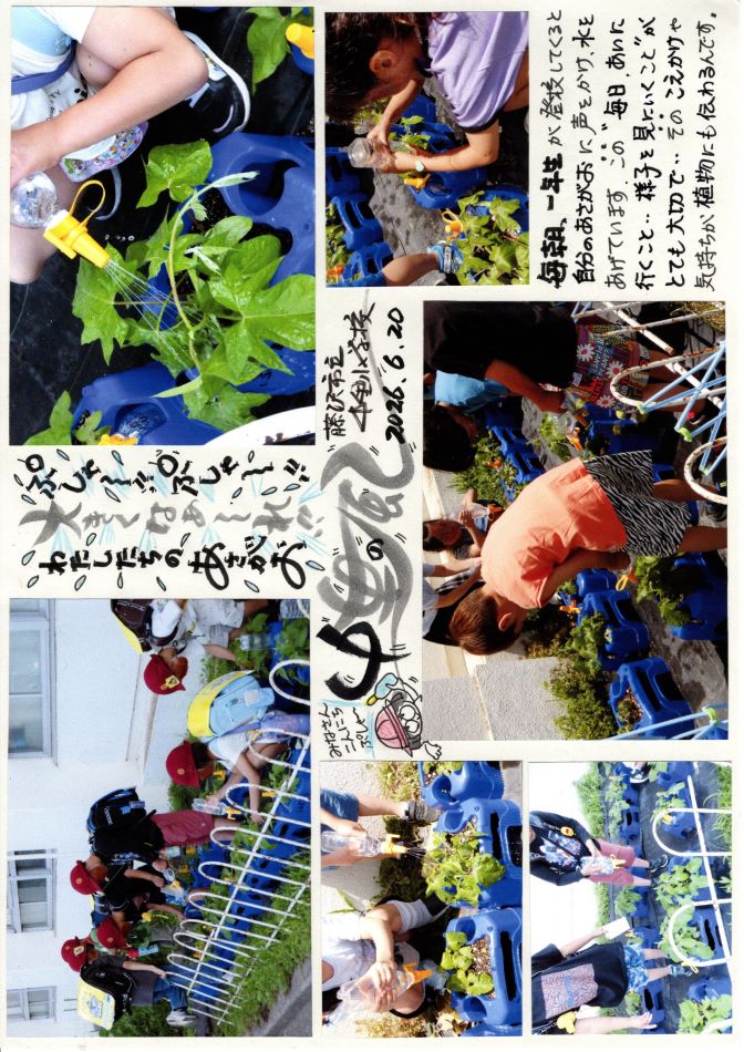 中里の風の画像1