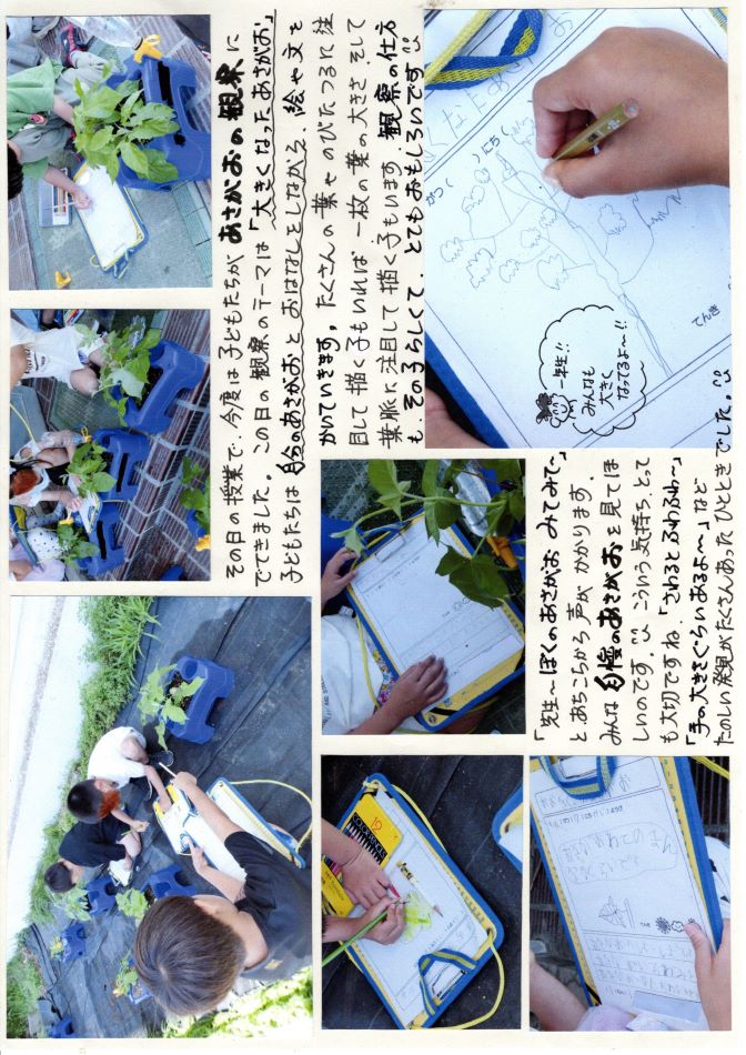 中里の風の画像2