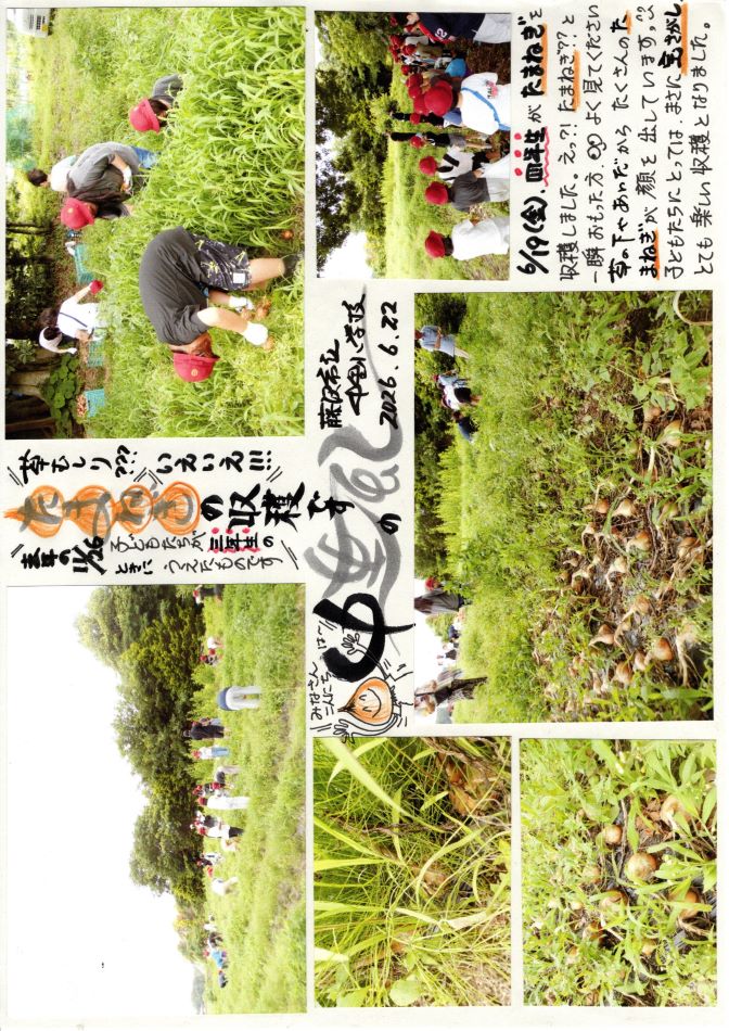 中里の風の画像1
