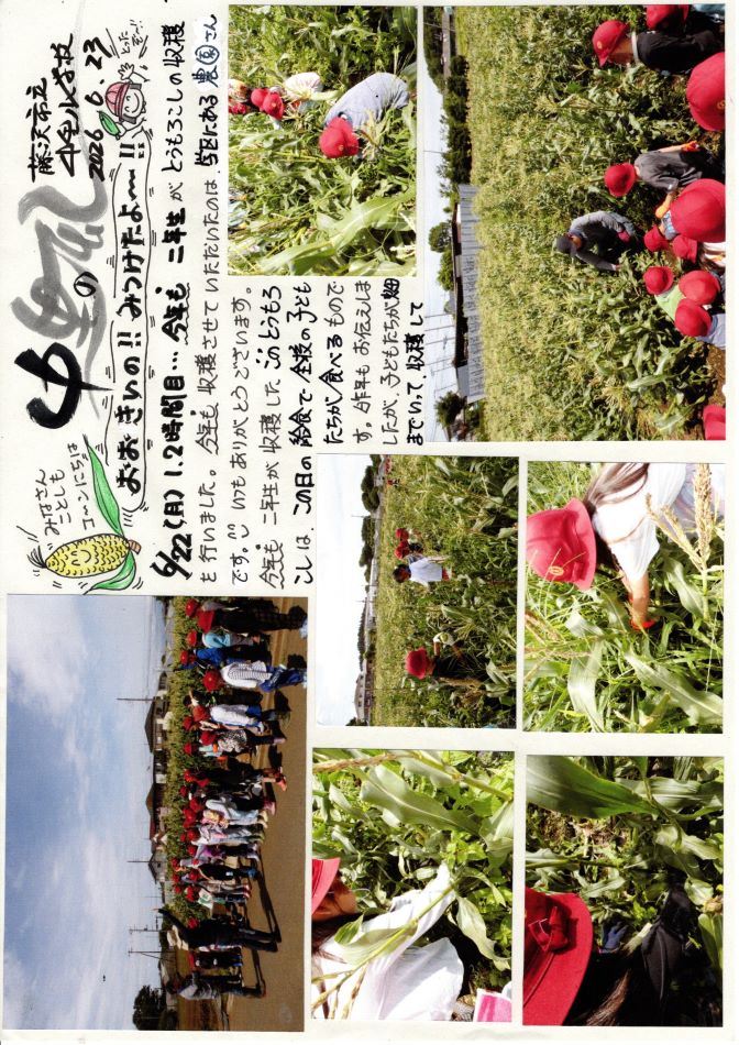 中里の風の画像1