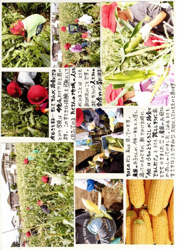 中里の風の画像2