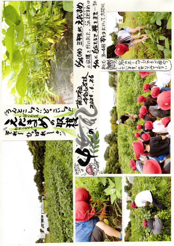 中里の風の画像1