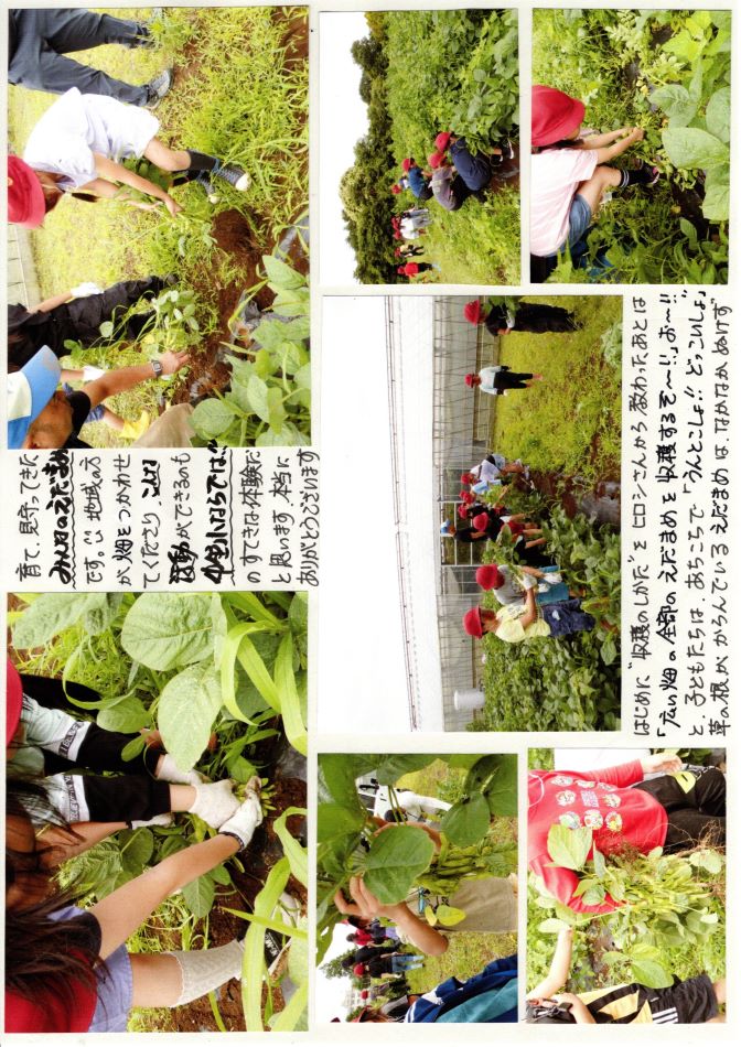 中里の風の画像2