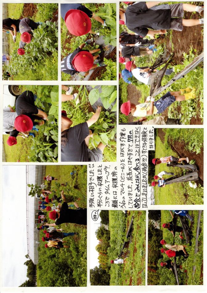 中里の風の画像3