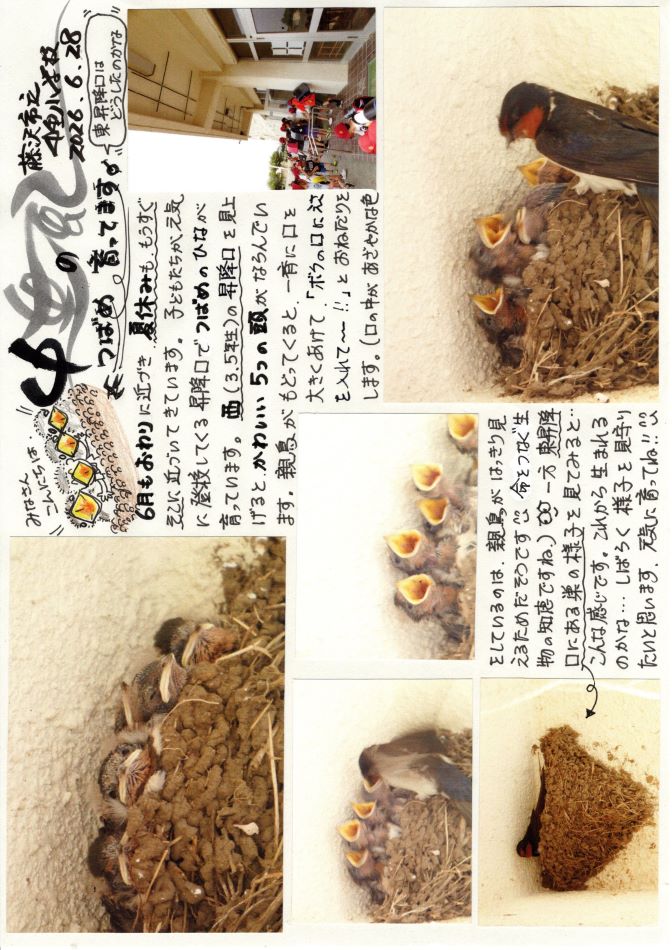 中里の風の画像