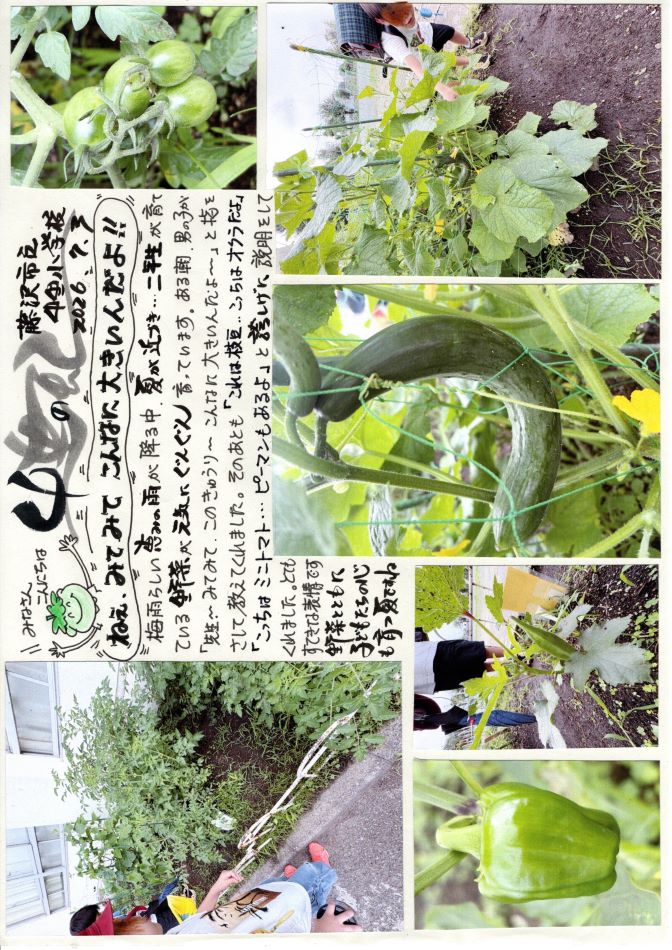 中里の風の画像