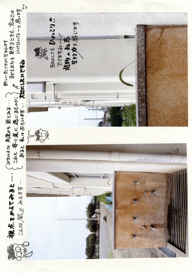 中里の風の画像2