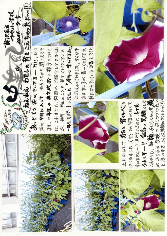 中里の風の画像