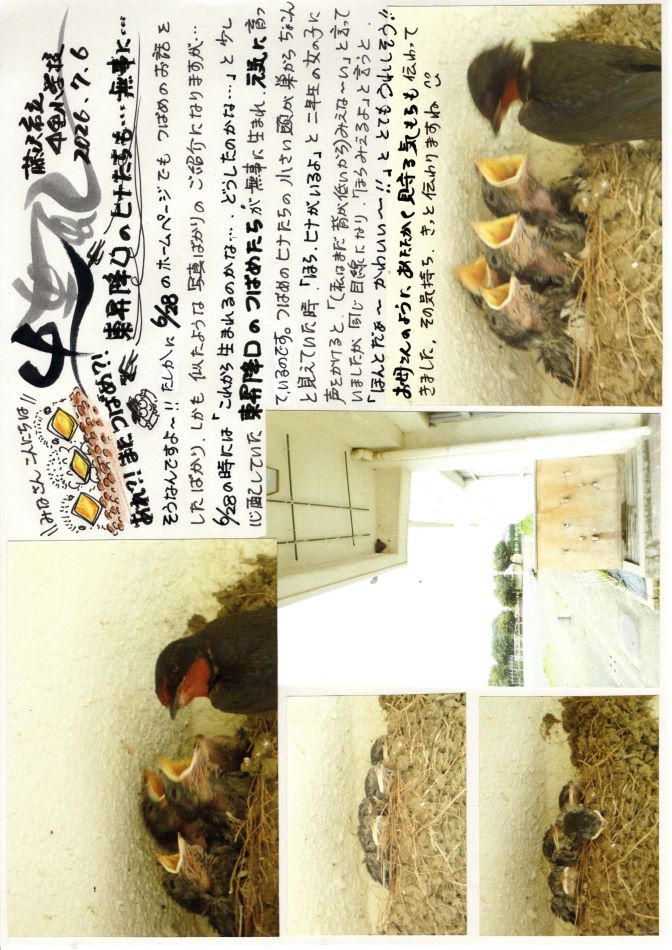 中里の風の画像