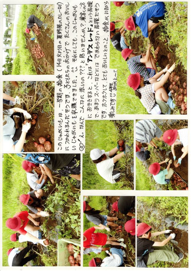 中里の風の画像2