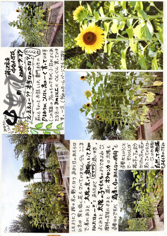 中里の風の画像