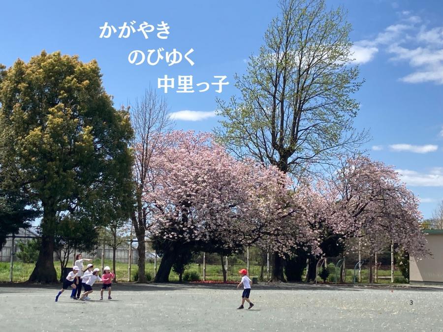 テスト１