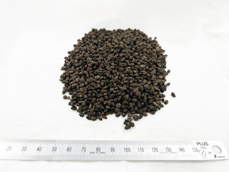 tankamai