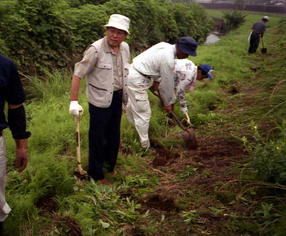 小出川の彼岸花の植え付け