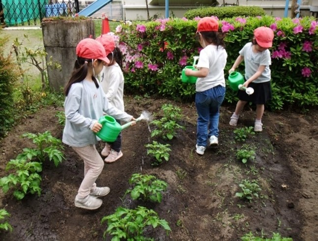 水やり