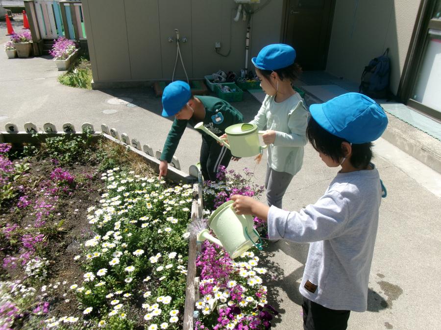 花への水やり
