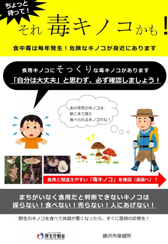 それ、毒キノコかも1