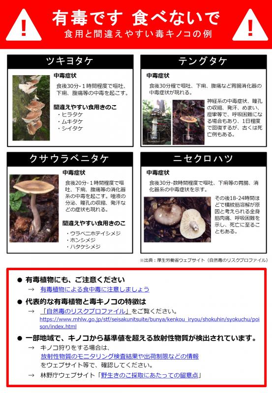 それ、毒キノコかも2